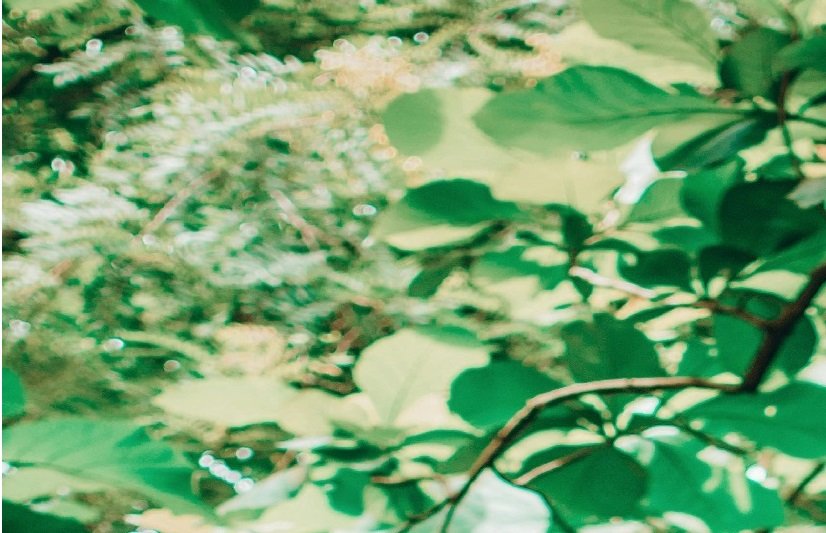 Enhancing Import Control with Calculation Tools for Drug and Food Safety